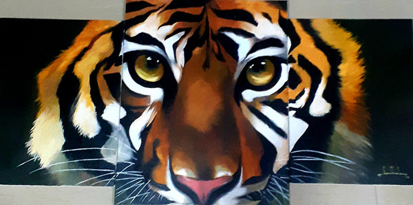 3 piece Tiger