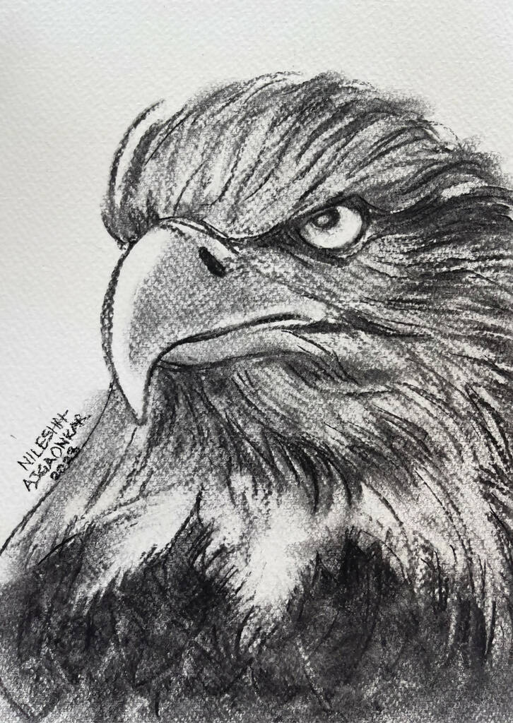 Flq1xKPl4O_1200x1200.jpg?v=1701960641