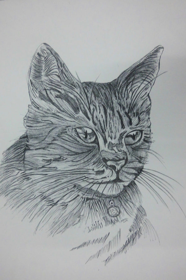 cat 2 (pen & ink)