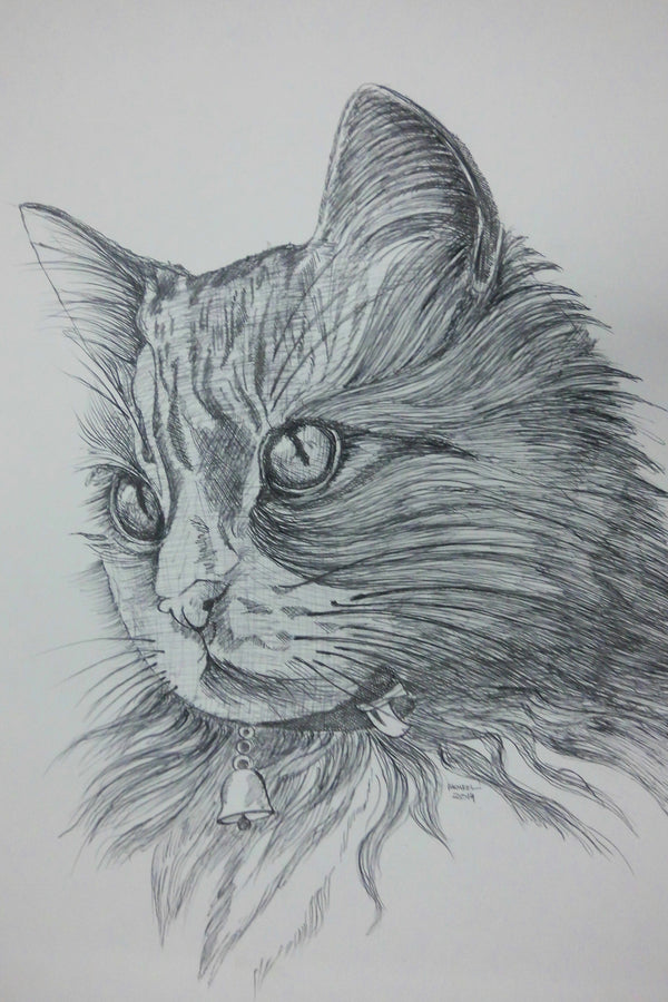cat 1 (pen & ink)