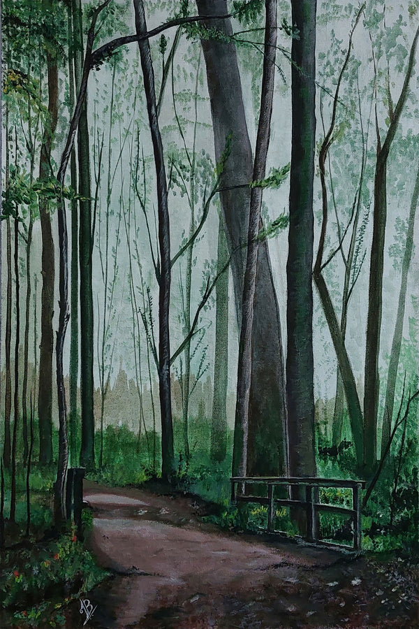 Forest Walkway