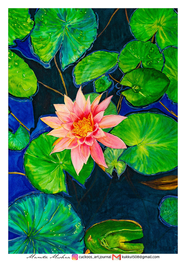 Water Lilly