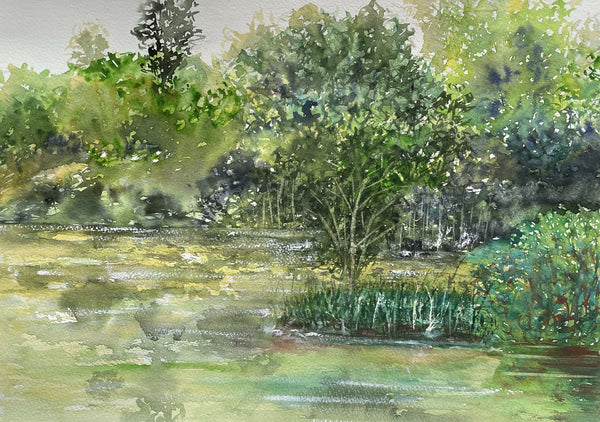 Shades of Green, Watercolor on Paper,15.5X11 inches, 3000