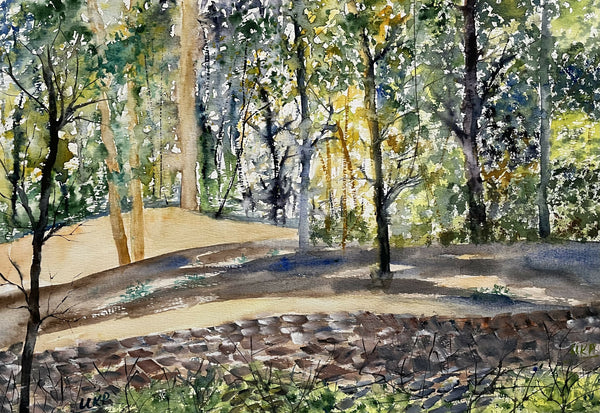 Sunshine in a forest