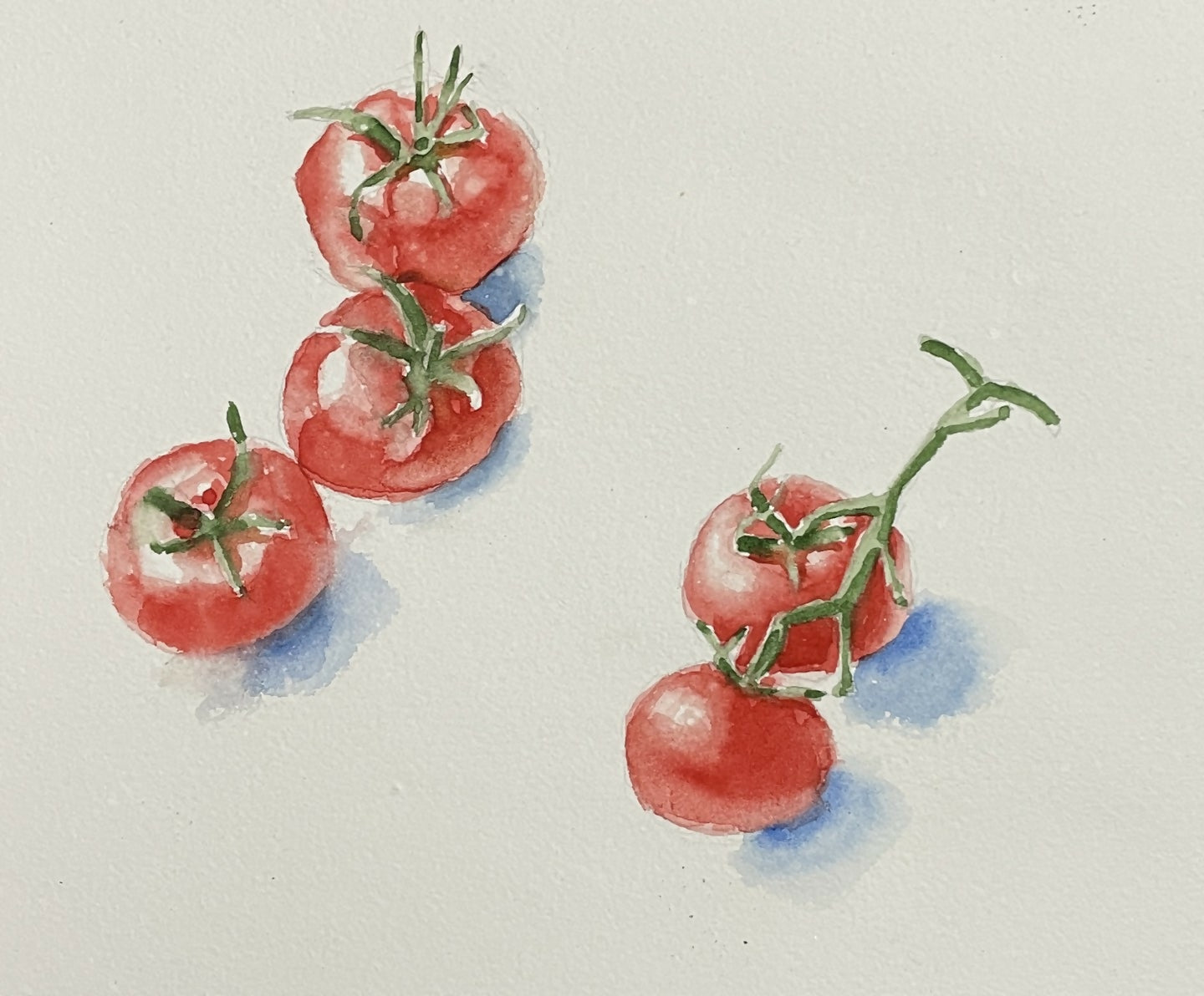 tomatoes