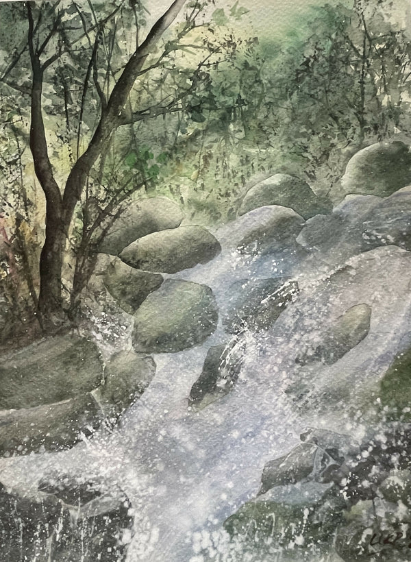 Forest Stream with Splashing Water