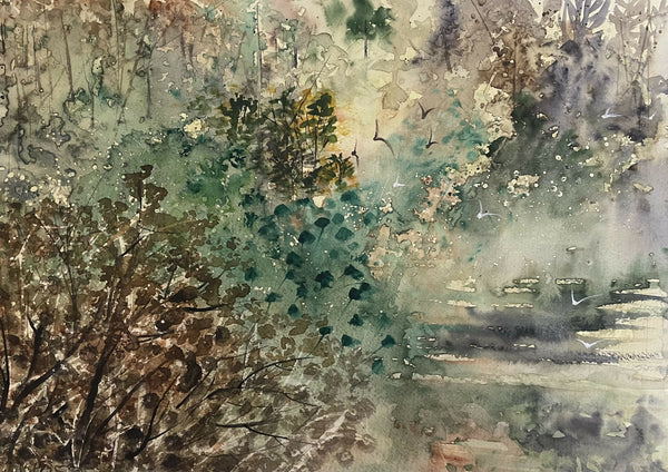 Serene Forest Landscape