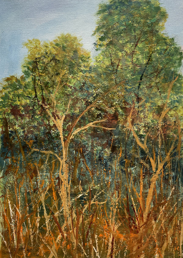 Bushes capturing the Sunset;Oil on canvas; 10X14