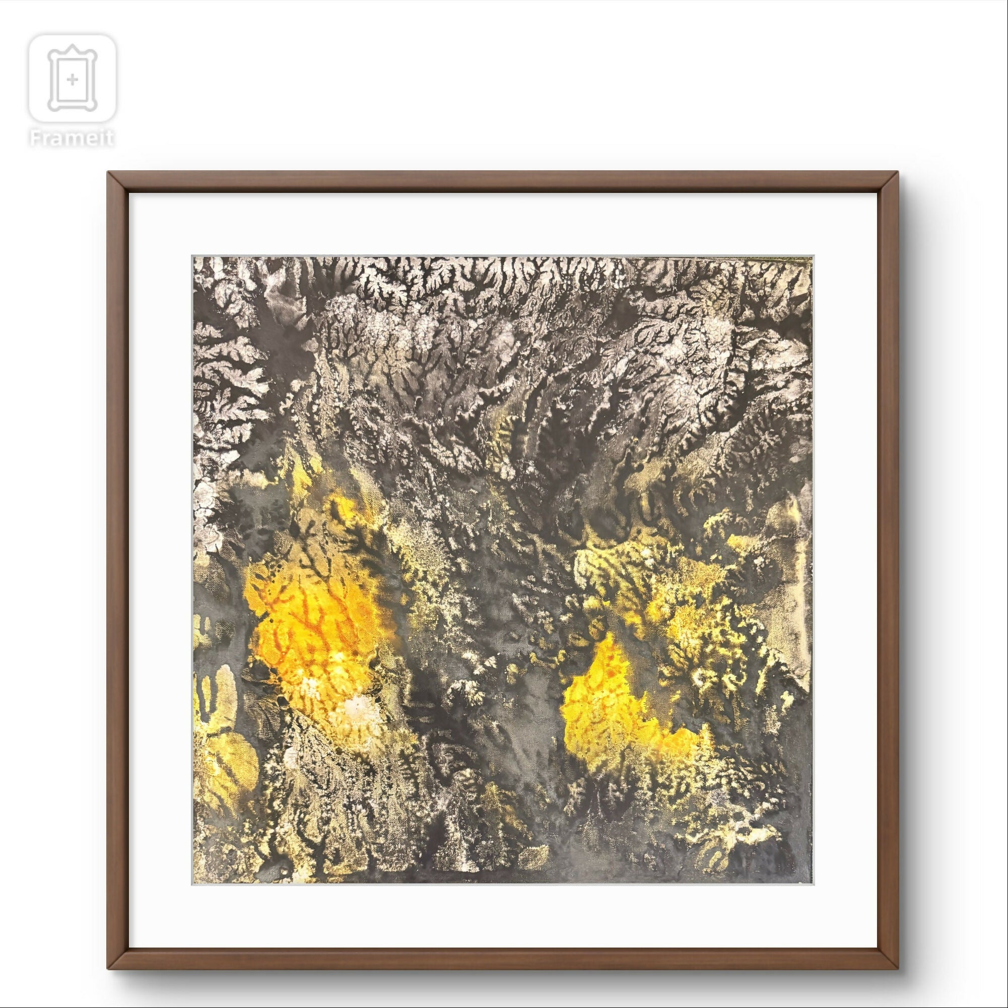 83617c90-7718-11f0-abc8-d1d67ecac20a