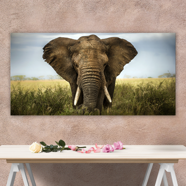 Strength in Stillness