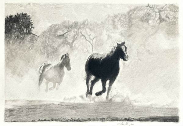 Horses with Dust Effect