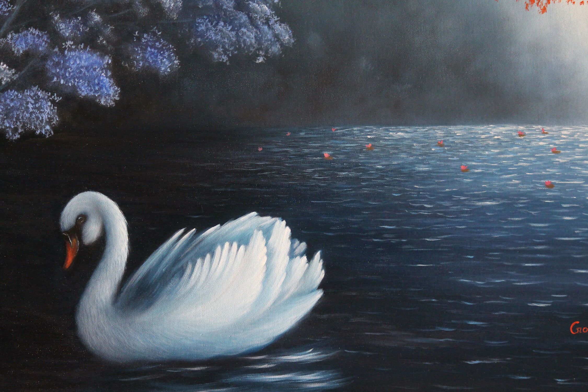 swan-in-lake-3