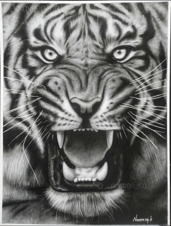 “The Roar Within” – Charcoal Tiger Portrait