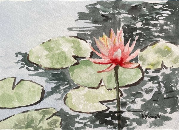 lotus