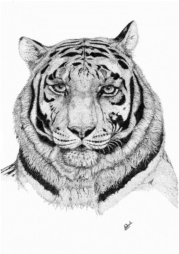 Ink & Essence: Capturing the Tiger's Spirit
