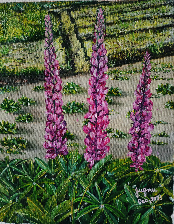 Lupin flowers