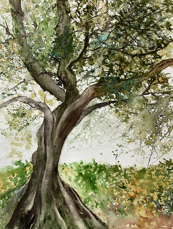 Tree and foliage
