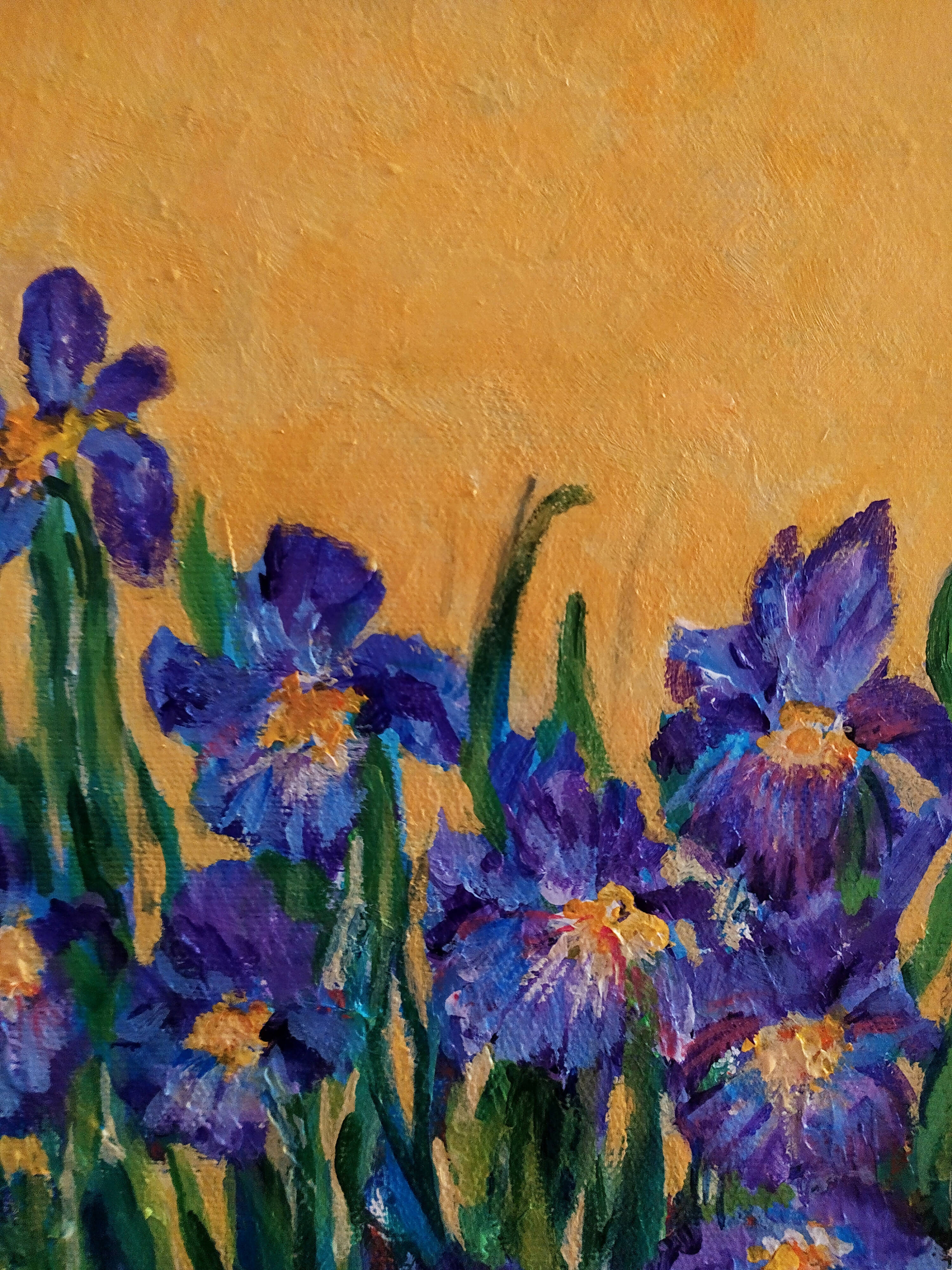 Expressive Iris garden, Framed acrylic painting on canvas