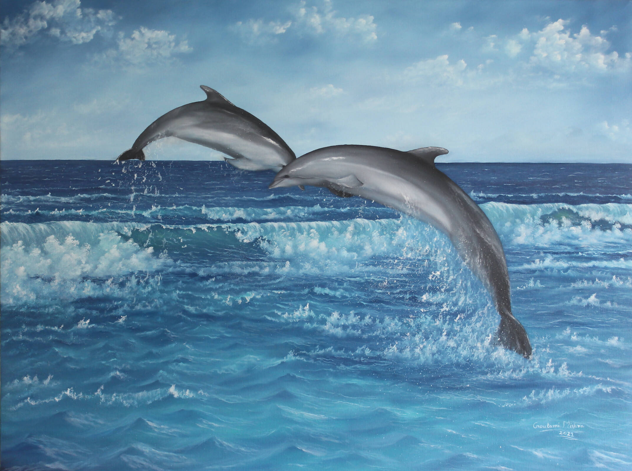 Sea waves and dolphin