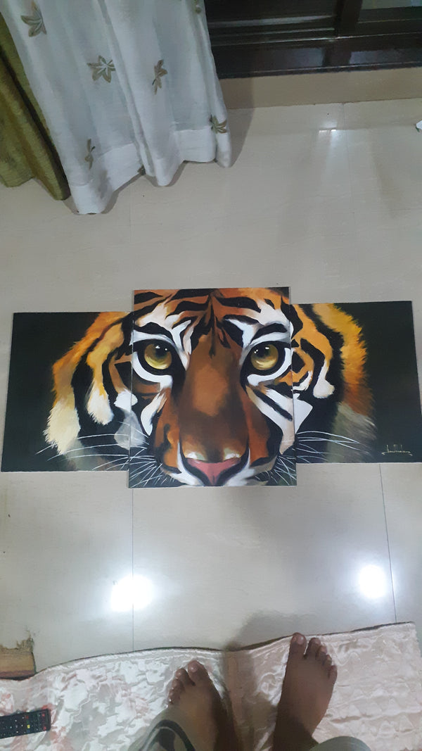 3 piece Tiger