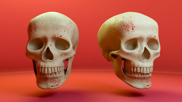 3D Human Skull (Full HD)