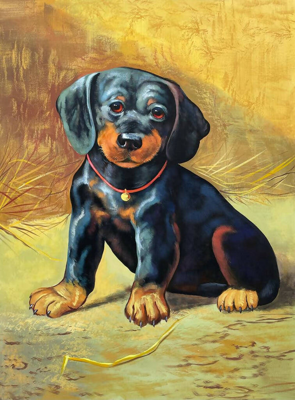 Daschund dog portrait