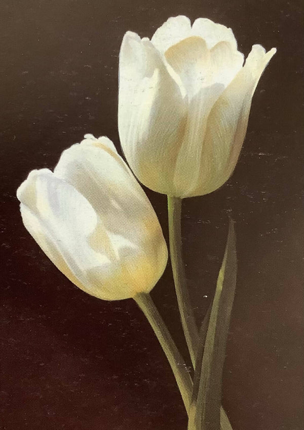 White flower painting
