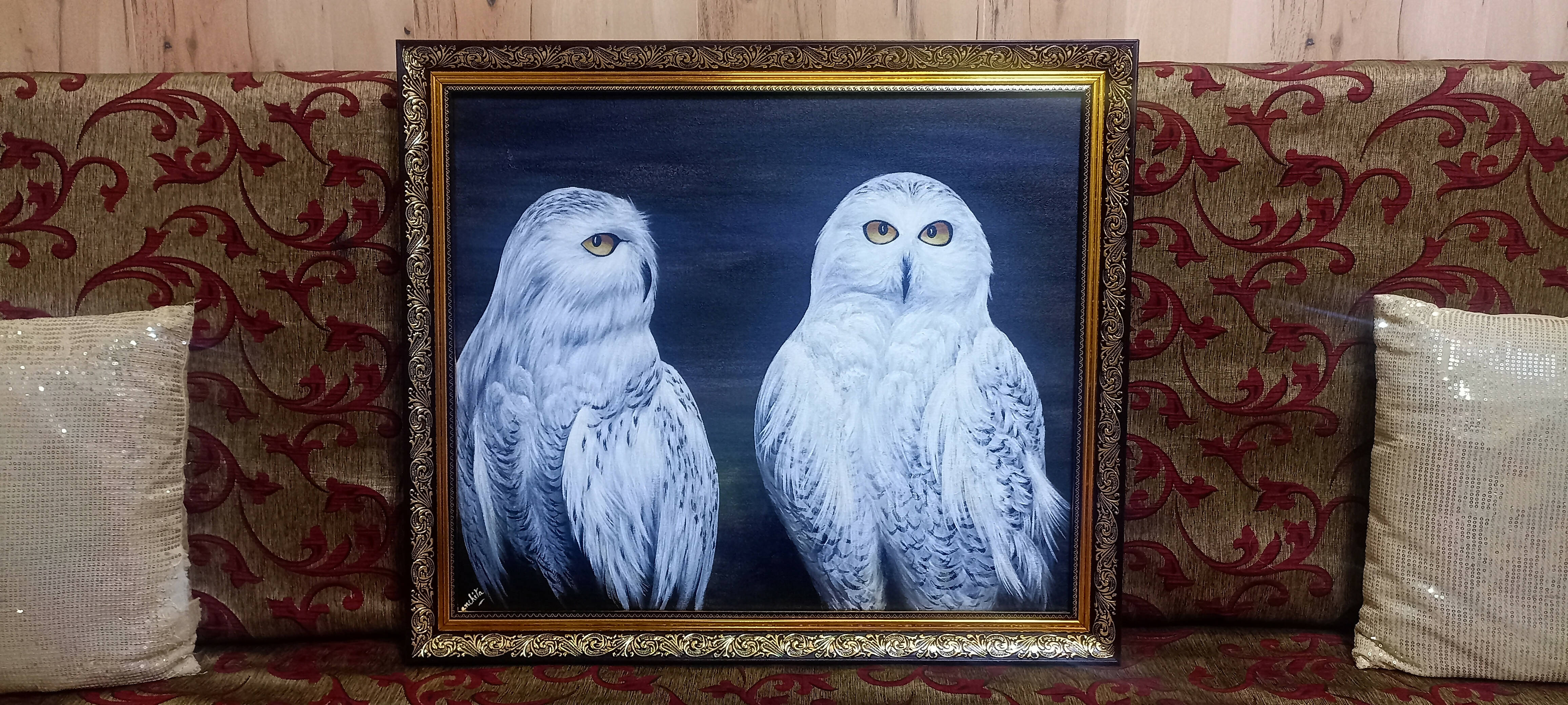 White owls