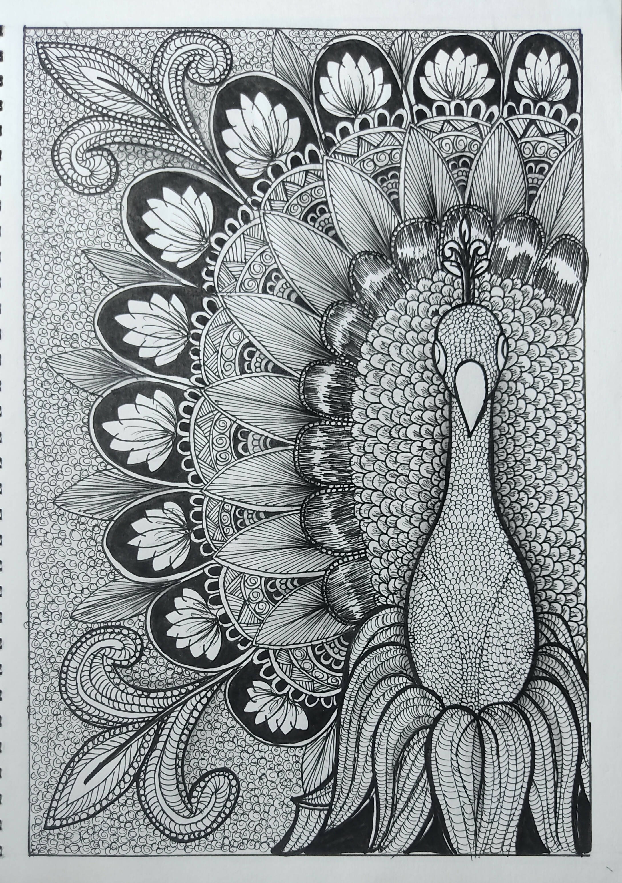 ORIGINAL 18x24 Charcoal Peacock Drawing Peacock Art, Charcoal Drawing,  Charcoal Peacock, Peacock Sketch - Etsy