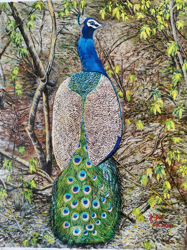 Peacock in the Aravalis