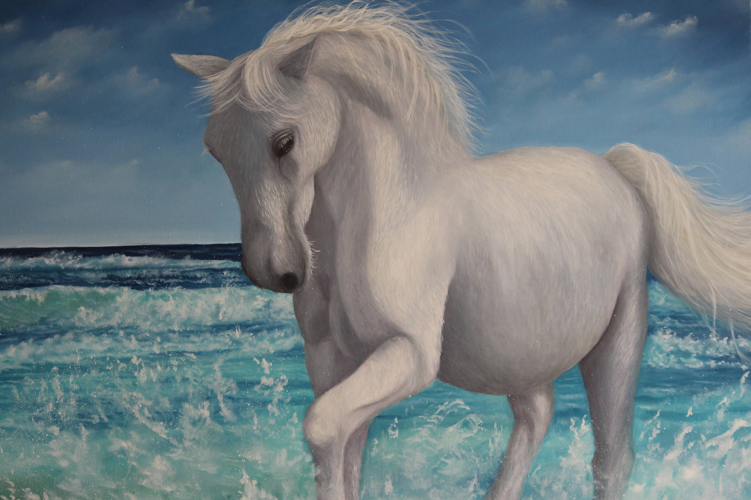 White horse at sea