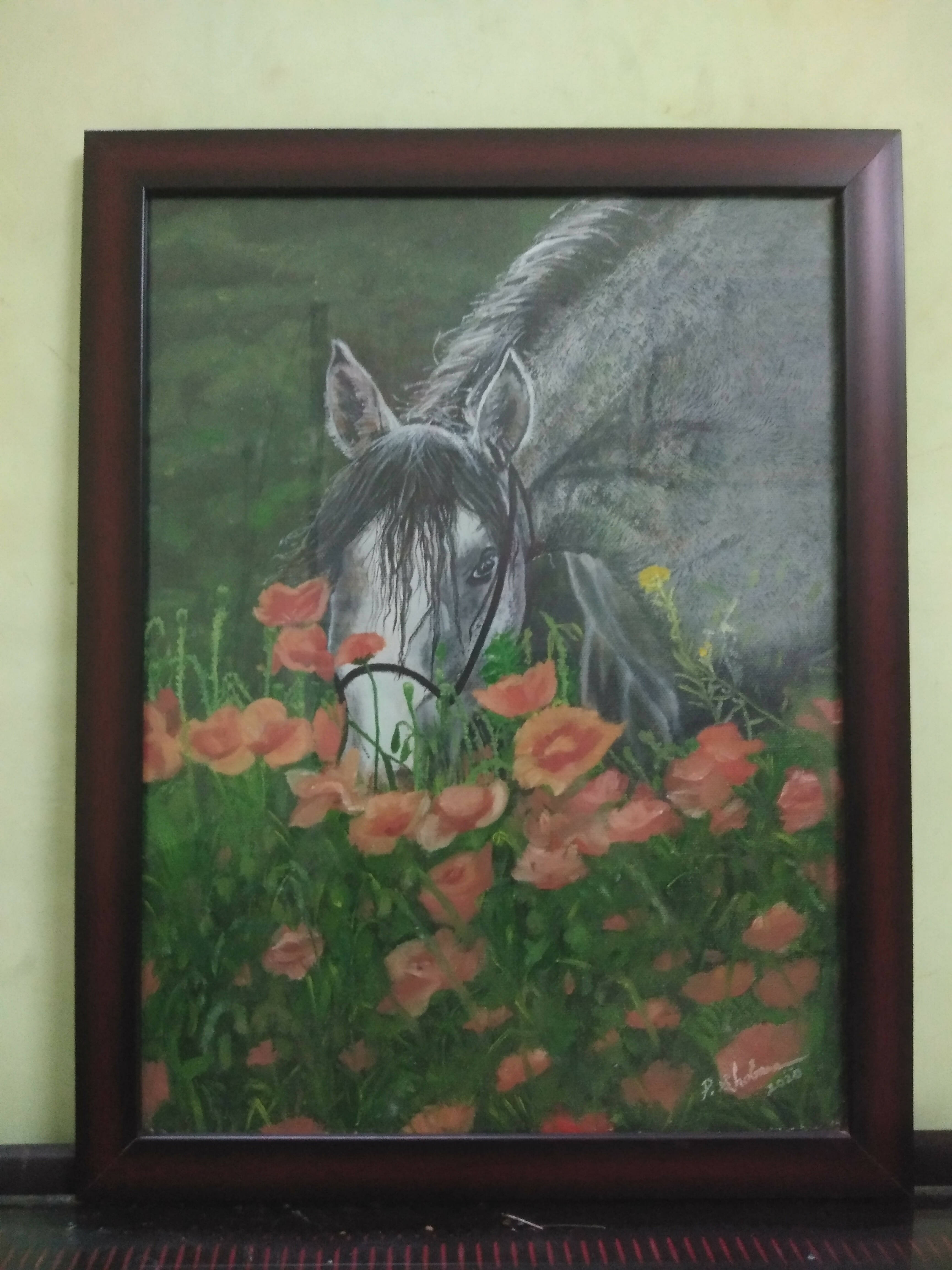 Poppies horse Framed