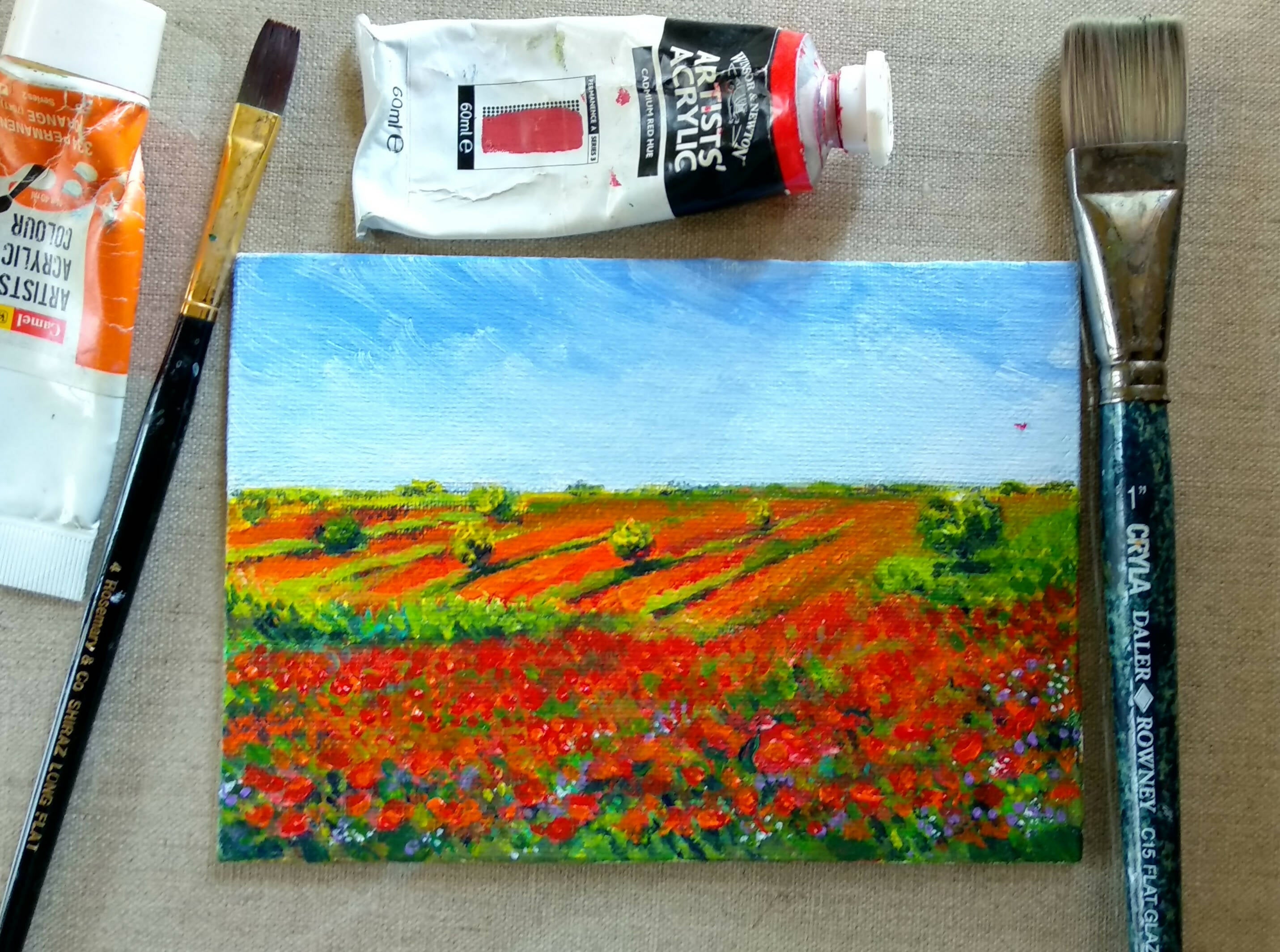 Miniature Poppy meadow painting on canvas