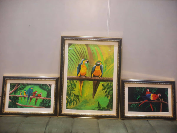 Colourful parrots in 3 frames