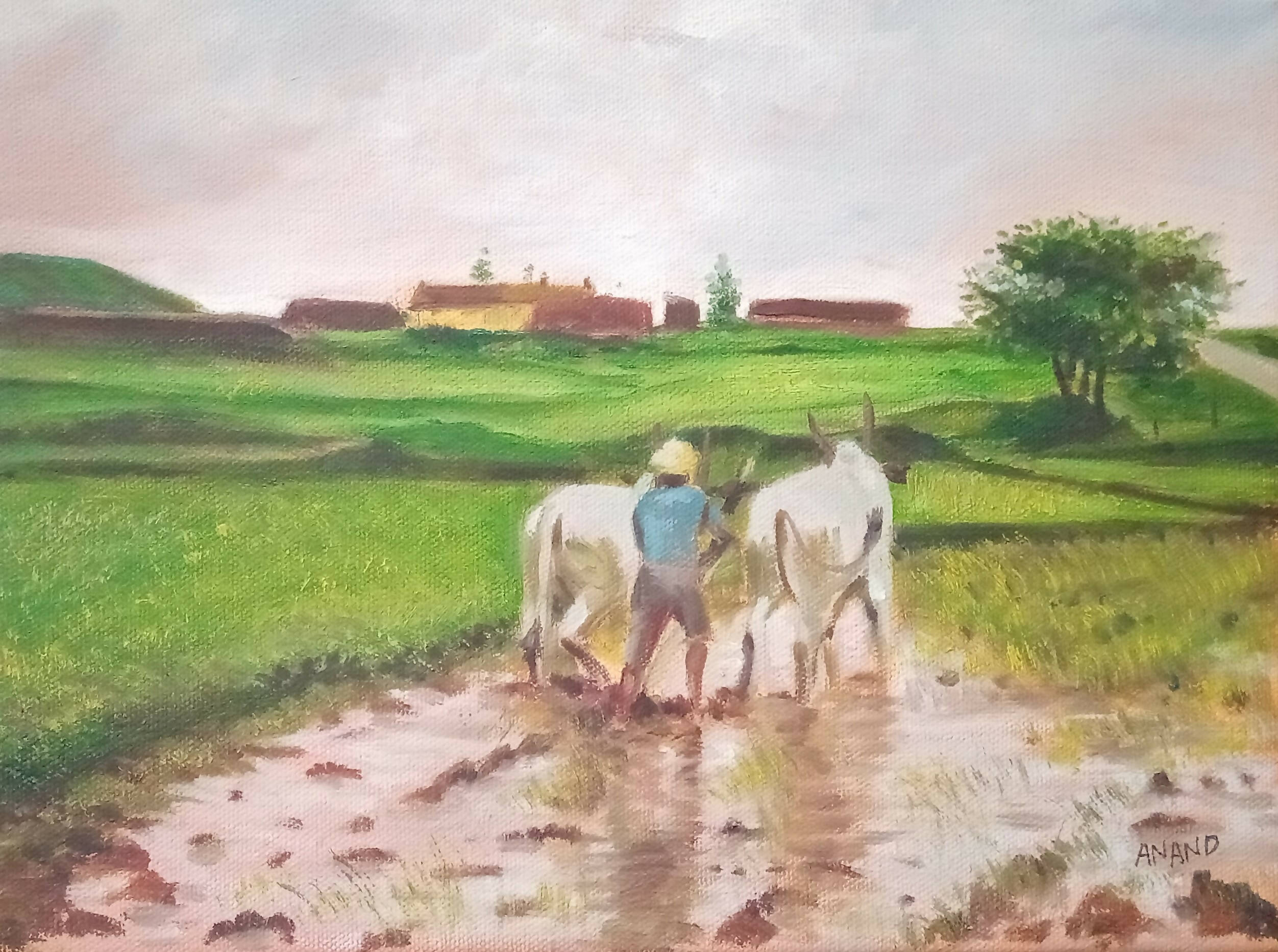 Buy Farmer Painting at Lowest Price By GalleristdBHQx796