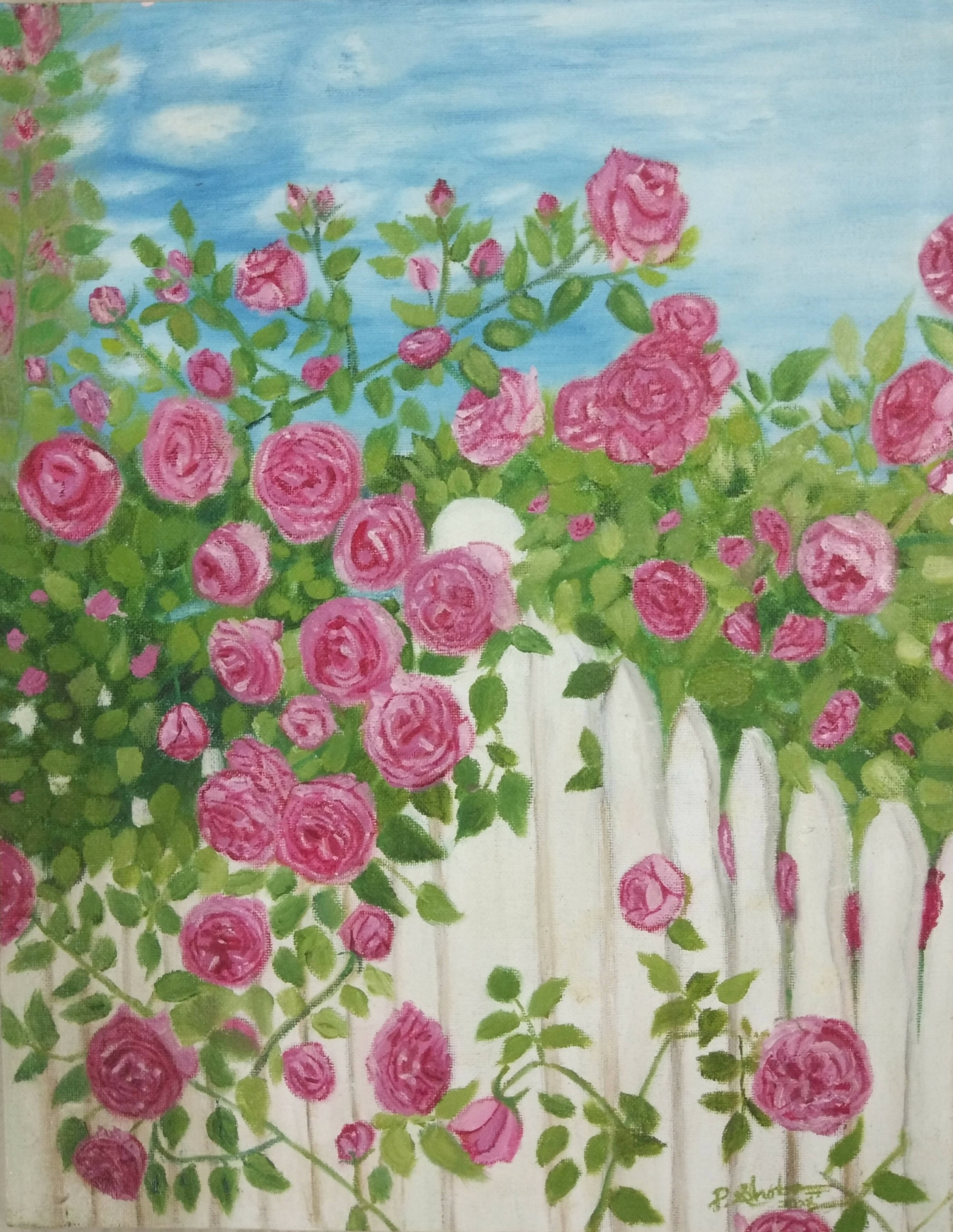 Fence of roses