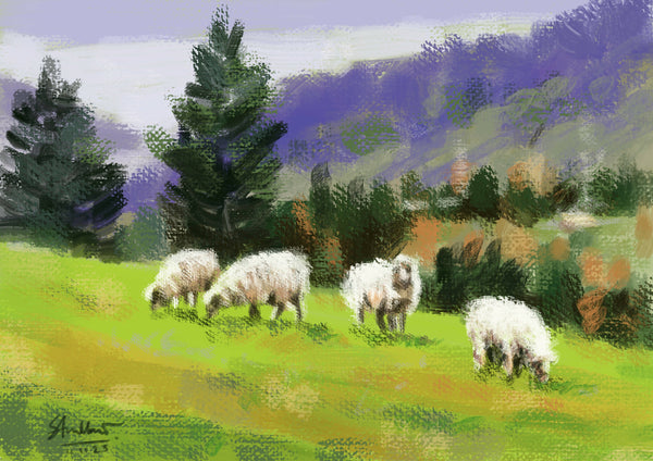 4 sheep grazing