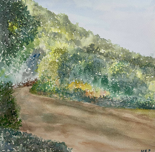 A Road through Forest