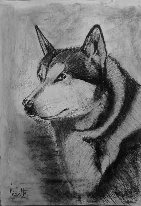 Husky