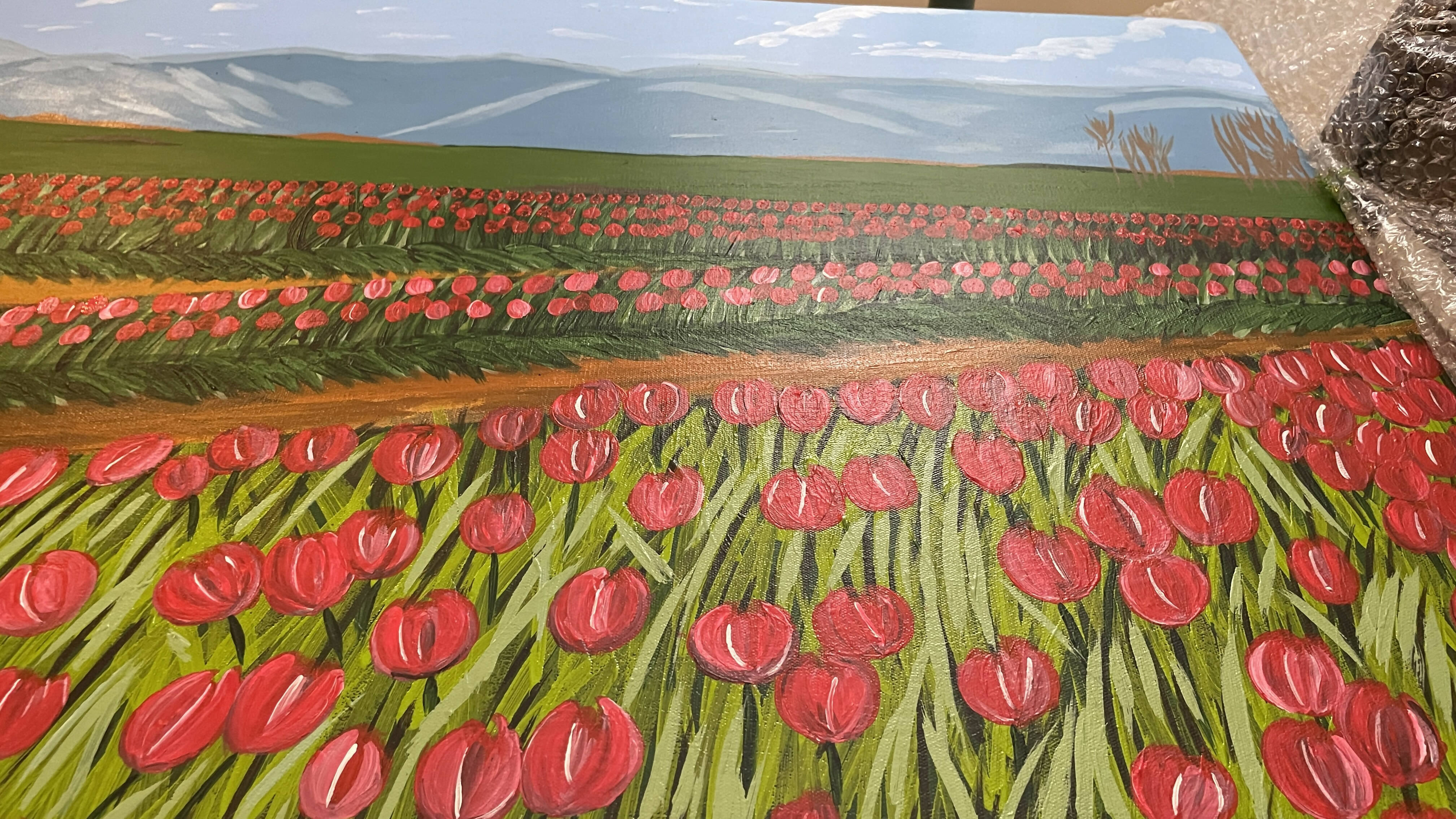 Kashmir Tulips Gardens