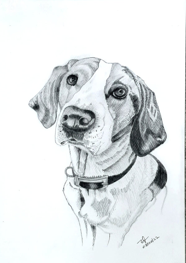 A Dog in pencil shading