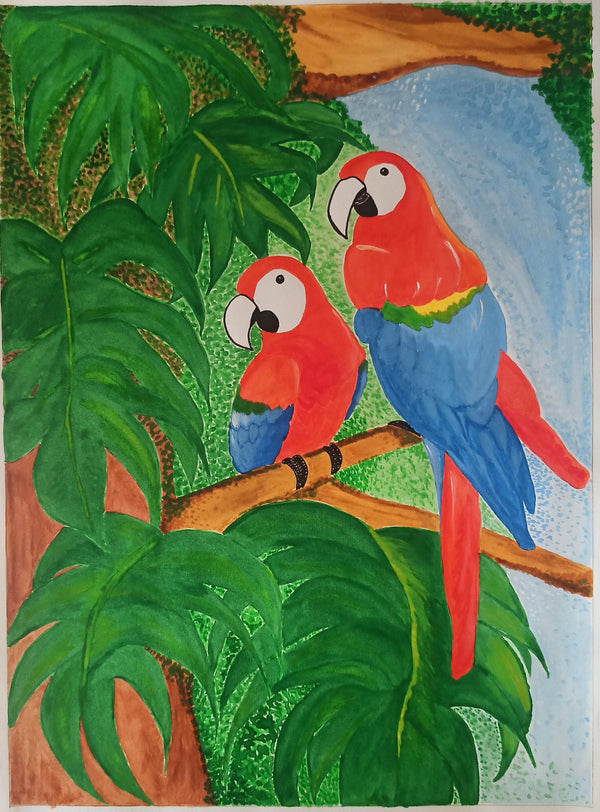 African Macaws