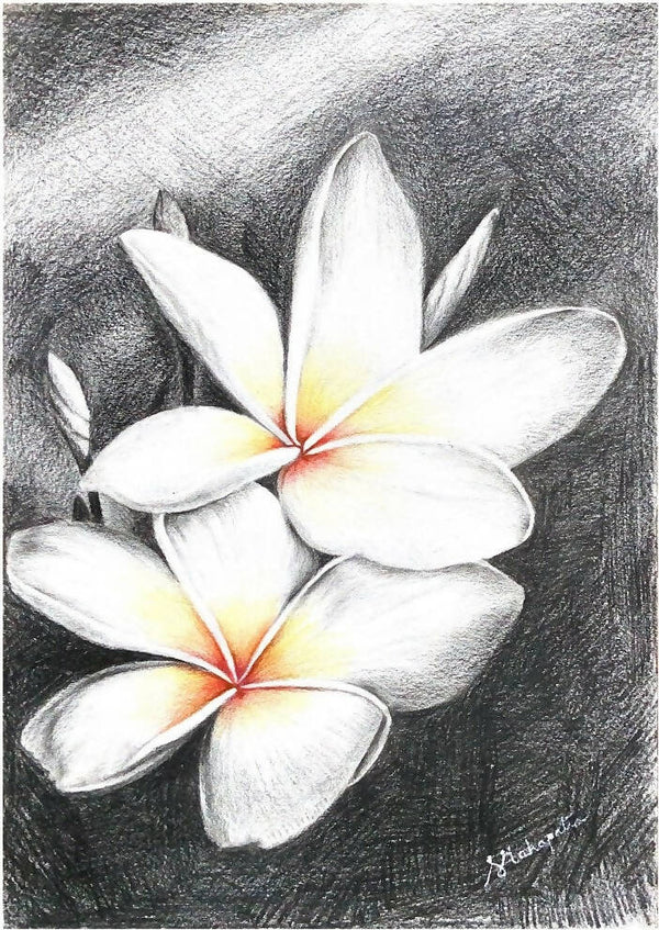 Charcoal Flower- Frangipani