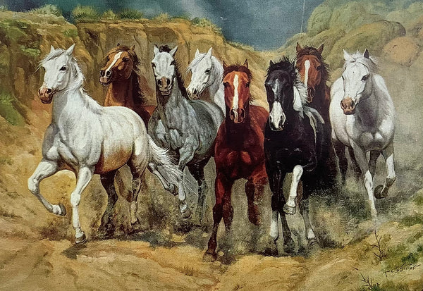 Beautiful Running horses (Artoholic)