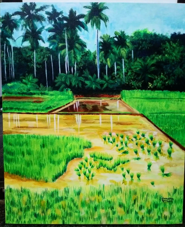 Beauty of Kerala