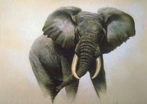 Big elephant 011