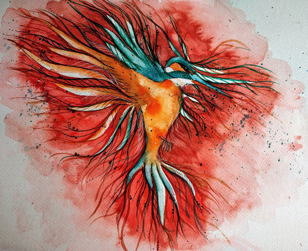 Bird - Kingfisher