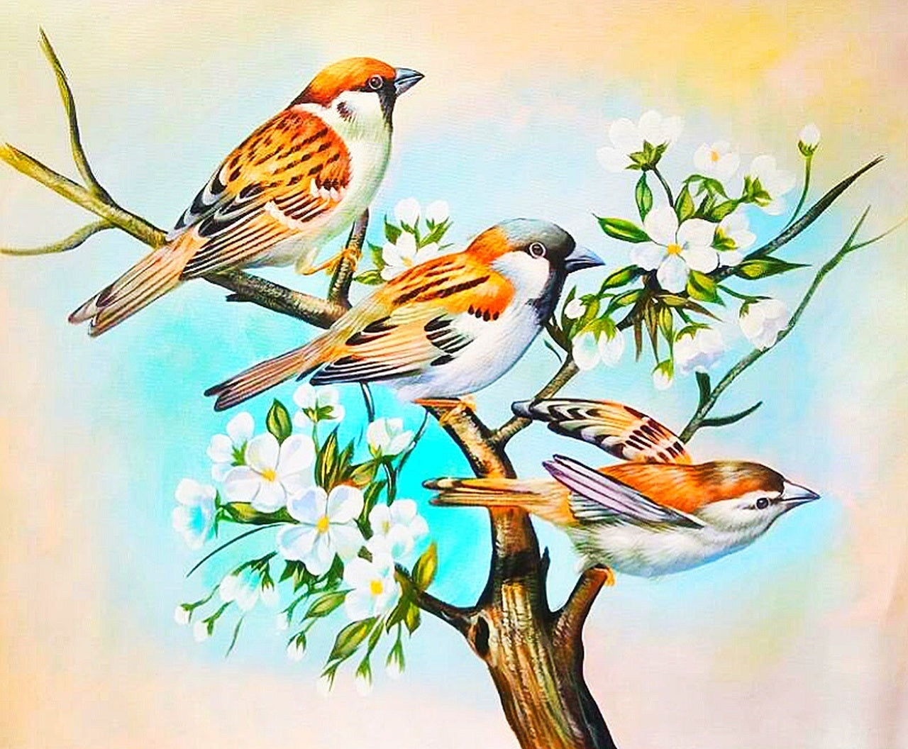 Bird painting – Gallerist.in