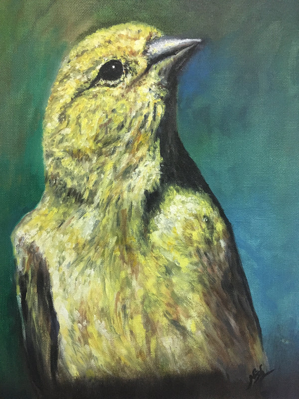 Birds- Portrait of Innocence