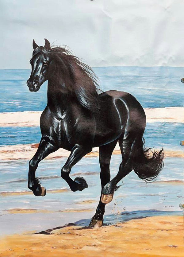 Black beauty horse vastu by artoholic